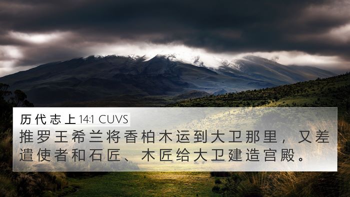 历 代 志 上 14:1 CUVS Bible Verse Image