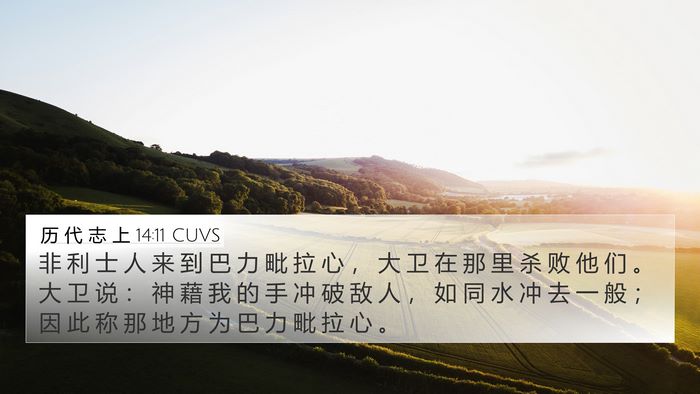 历 代 志 上 14:11 CUVS Bible Verse Image
