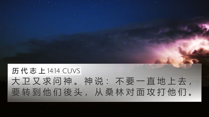 历 代 志 上 14:14 CUVS Bible Verse Image