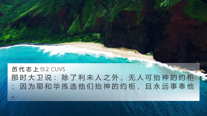 历 代 志 上 15:2 CUVS Bible Verse Image