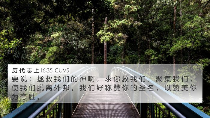 历 代 志 上 16:35 CUVS Bible Verse Image