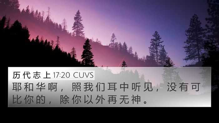 历 代 志 上 17:20 CUVS Bible Verse Image