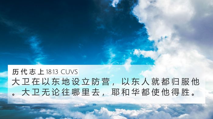 历 代 志 上 18:13 CUVS Bible Verse Image