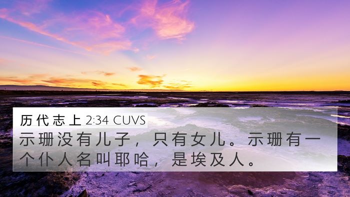 历 代 志 上 2:34 CUVS 4K Wallpaper - 示 珊 没 有 儿 子 ， 只 有 女 儿 。 - 4K Wallpaper Bible Verse