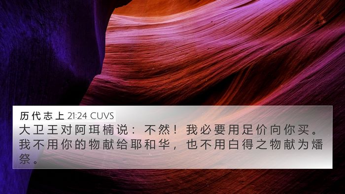 历 代 志 上 21:24 CUVS Bible Verse Image