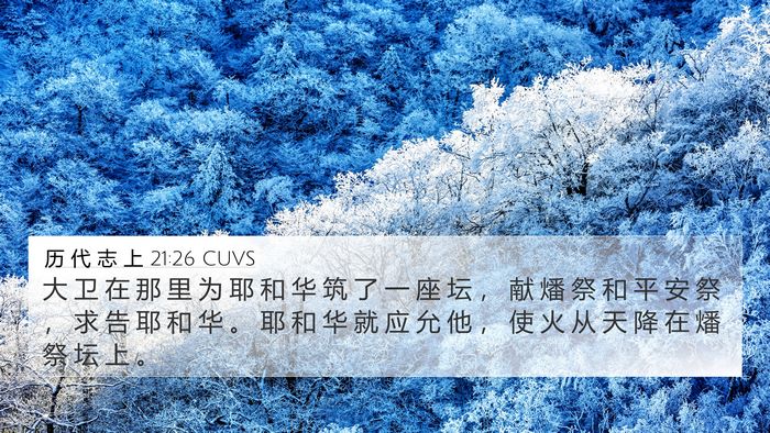 历 代 志 上 21:26 CUVS Bible Verse Image