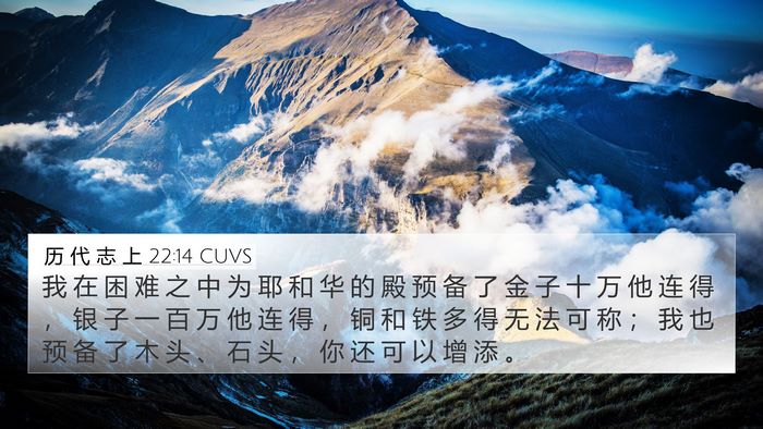 历 代 志 上 22:14 CUVS Bible Verse Image