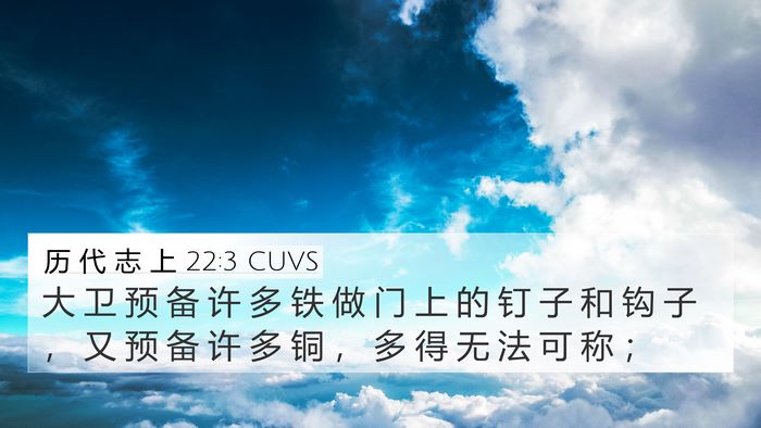 历 代 志 上 22:3 CUVS Bible Verse Image