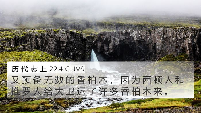 历 代 志 上 22:4 CUVS Bible Verse Image