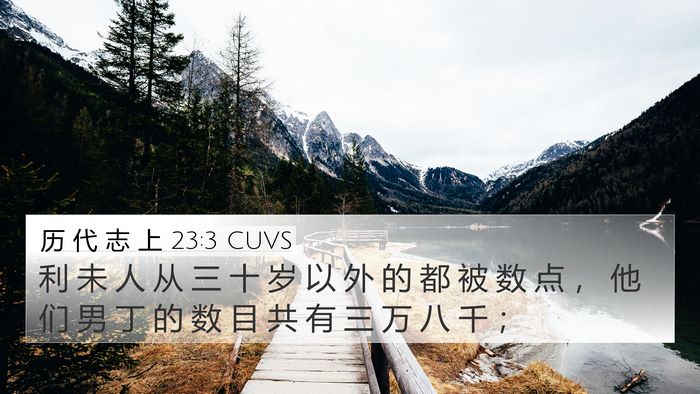 历 代 志 上 23:3 CUVS Bible Verse Image