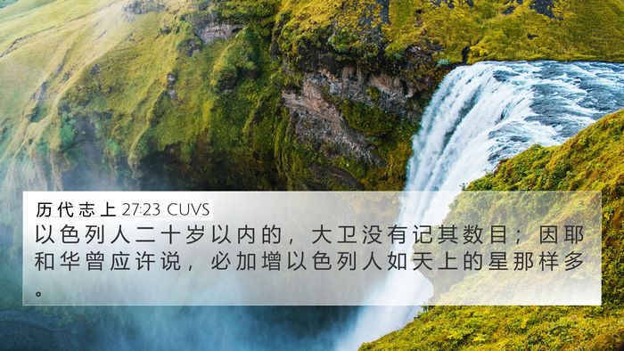 历 代 志 上 27:23 CUVS Bible Verse Image
