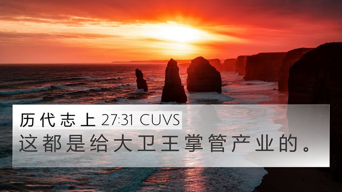 历 代 志 上 27:31 CUVS 4K Wallpaper - 这 都 是 给 大 卫 王 掌 管 产 业 的 - 4K Wallpaper Bible Verse