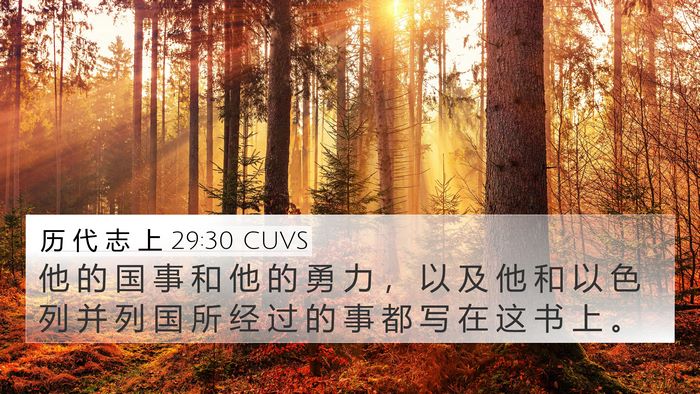 历 代 志 上 29:30 CUVS 4K Wallpaper - 他 的 国 事 和 他 的 勇 力 ， 以 及 - 4K Wallpaper Bible Verse