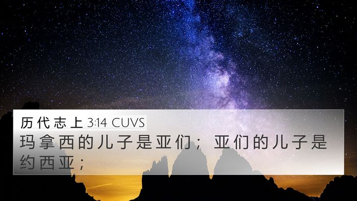 历 代 志 上 3:14 CUVS Bible Verse Image
