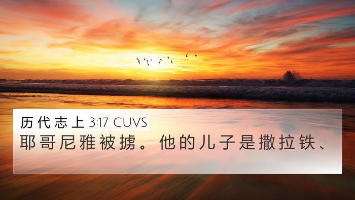 历 代 志 上 3:17 CUVS Bible Verse Image