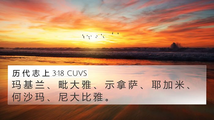 历 代 志 上 3:18 CUVS 4K Wallpaper - 玛 基 兰 、 毗 大 雅 、 示 拿 萨 、 - 4K Wallpaper Bible Verse