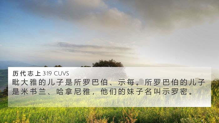 历 代 志 上 3:19 CUVS Bible Verse Image