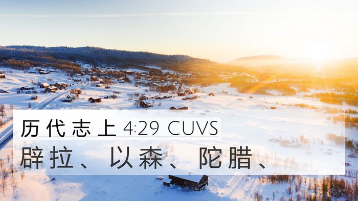 历 代 志 上 4:29 CUVS Bible Verse Image
