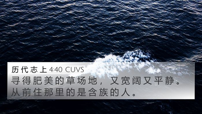 历 代 志 上 4:40 CUVS 4K Wallpaper - 寻 得 肥 美 的 草 场 地 ， 又 宽 阔 - 4K Wallpaper Bible Verse