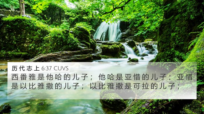 历 代 志 上 6:37 CUVS Bible Verse Image