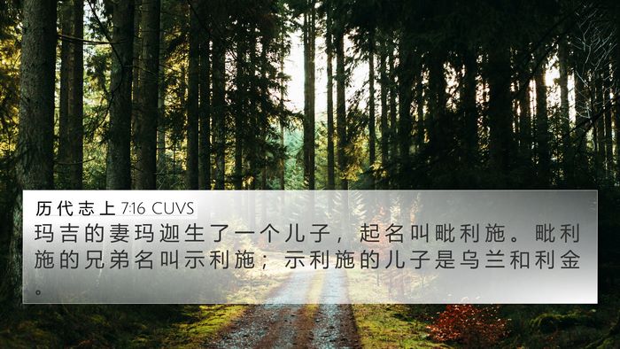 历 代 志 上 7:16 CUVS 4K Wallpaper - 玛 吉 的 妻 玛 迦 生 了 一 个 儿 子 - 4K Wallpaper Bible Verse