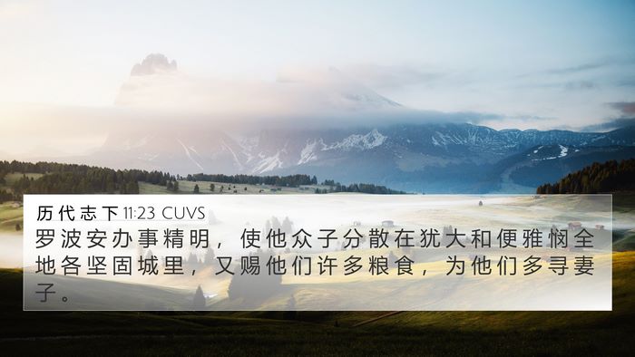 历 代 志 下 11:23 CUVS Bible Verse Image