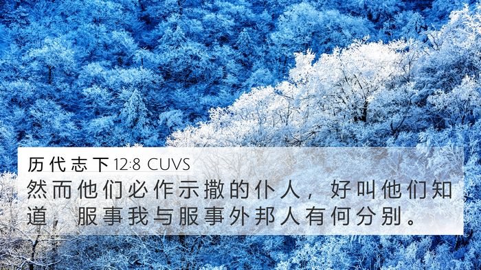 历 代 志 下 12:8 CUVS Bible Verse Image
