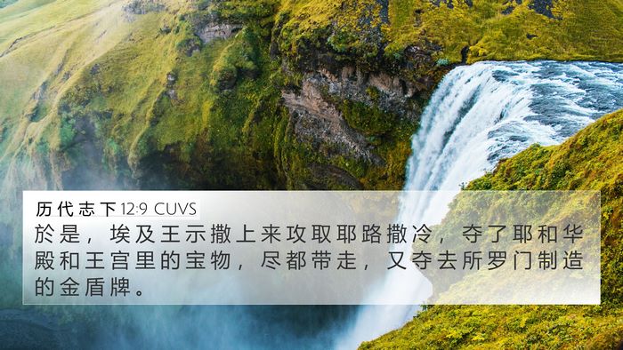历 代 志 下 12:9 CUVS Bible Verse Image