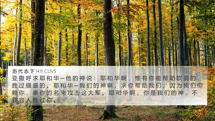 历 代 志 下 14:11 CUVS Bible Verse Image