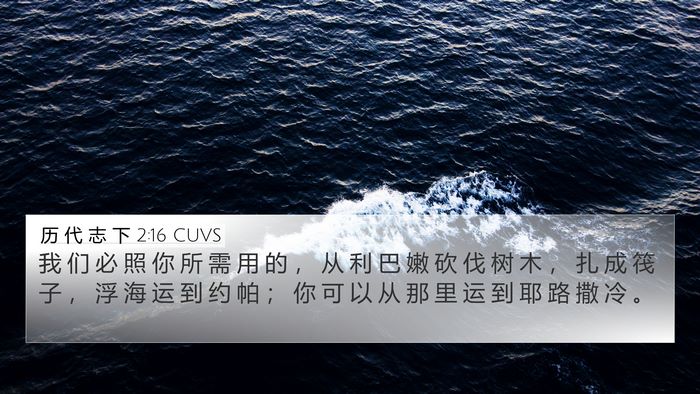 历 代 志 下 2:16 CUVS Bible Verse Image