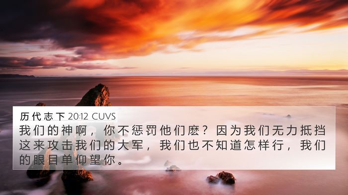 历 代 志 下 20:12 CUVS Bible Verse Image