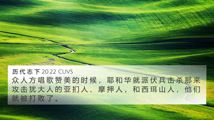 历 代 志 下 20:22 CUVS Bible Verse Image