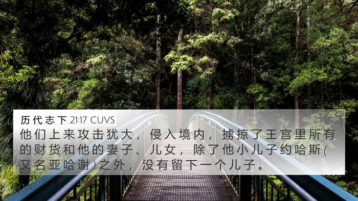 历 代 志 下 21:17 CUVS Bible Verse Image