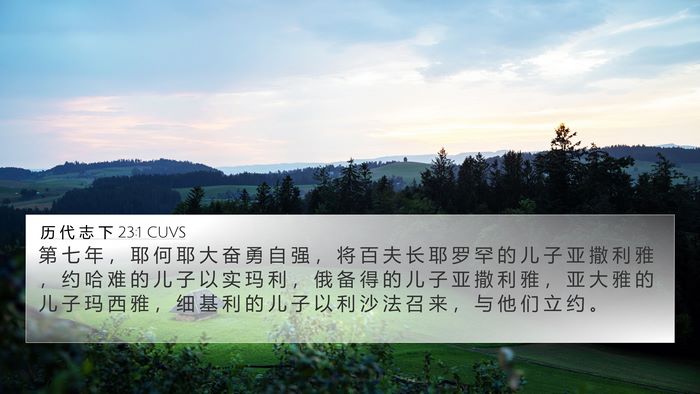历 代 志 下 23:1 CUVS Bible Verse Image