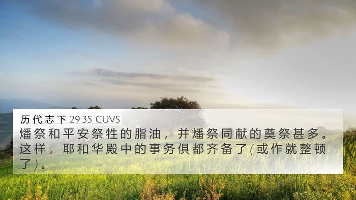 历 代 志 下 29:35 CUVS 4K Wallpaper - 燔 祭 和 平 安 祭 牲 的 脂 油 ， 并 - 4K Wallpaper Bible Verse
