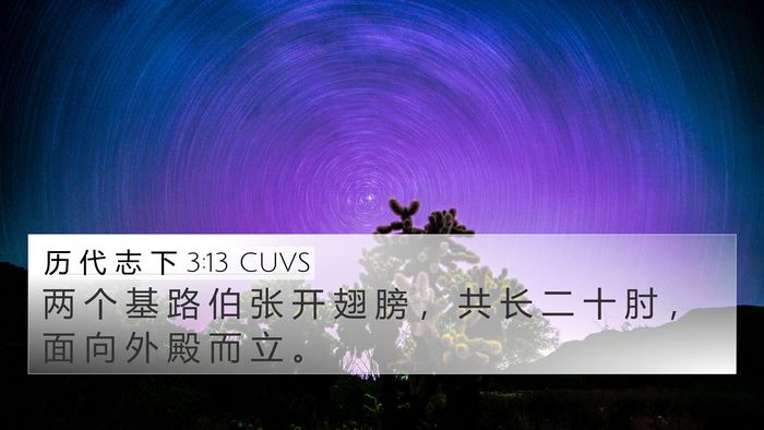 历 代 志 下 3:13 CUVS 4K Wallpaper - 两 个 基 路 伯 张 开 翅 膀 ， 共 长 - 4K Wallpaper Bible Verse