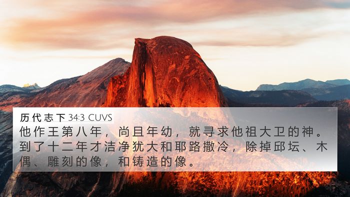 历 代 志 下 34:3 CUVS Bible Verse Image