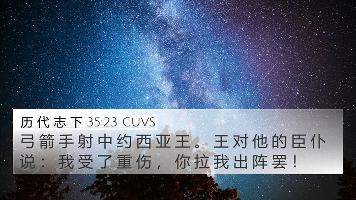 历 代 志 下 35:23 CUVS Bible Verse Image