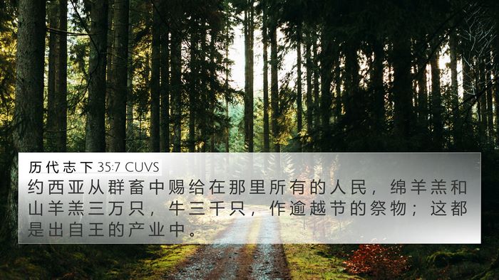 历 代 志 下 35:7 CUVS Bible Verse Image