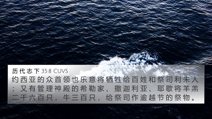 历 代 志 下 35:8 CUVS Bible Verse Image