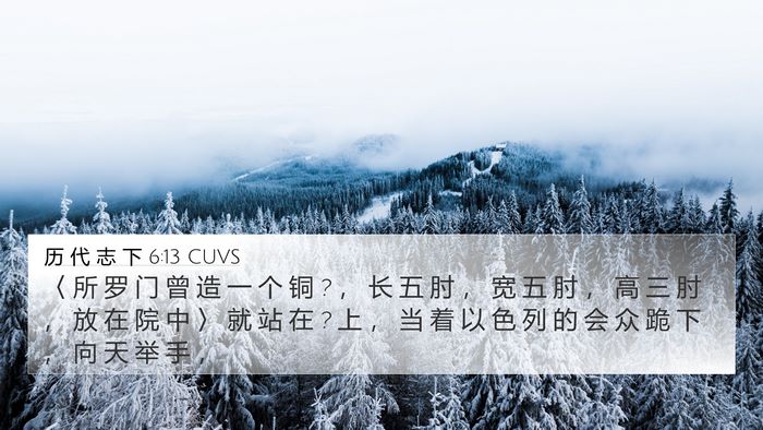 历 代 志 下 6:13 CUVS Bible Verse Image