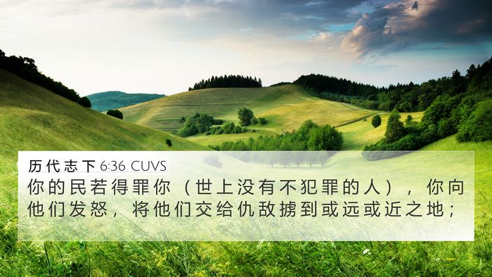 历 代 志 下 6:36 CUVS Bible Verse Image