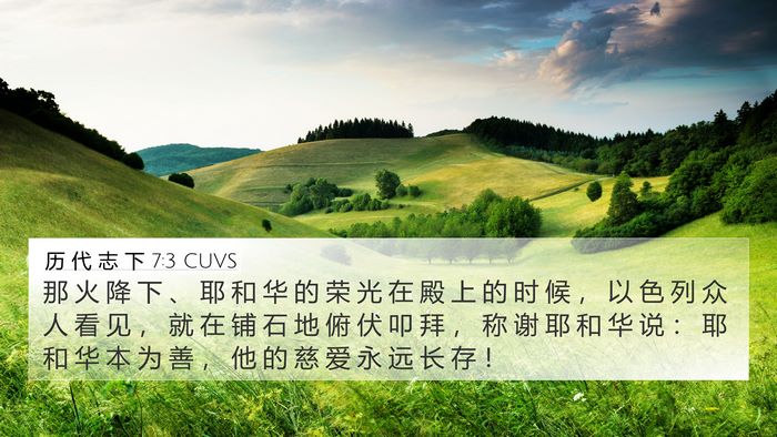 历 代 志 下 7:3 CUVS Bible Verse Image