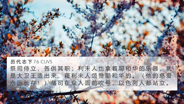 历 代 志 下 7:6 CUVS Bible Verse Image