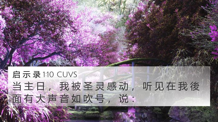 启 示 录 1:10 CUVS Bible Verse Image