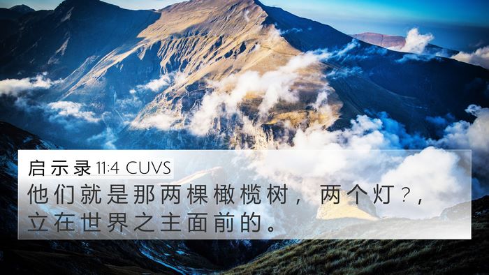 启 示 录 11:4 CUVS 4K Wallpaper - 他 们 就 是 那 两 棵 橄 榄 树 ， 两 - 4K Wallpaper Bible Verse