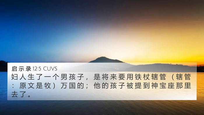 启 示 录 12:5 CUVS Bible Verse Image