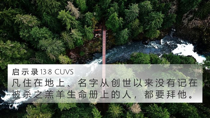 启 示 录 13:8 CUVS Bible Verse Image