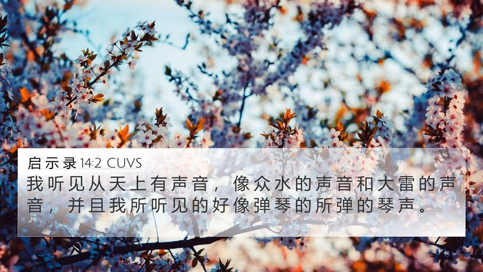 启 示 录 14:2 CUVS Bible Verse Image