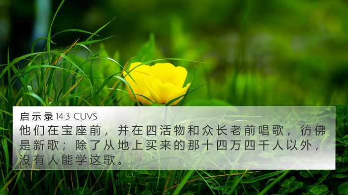 启 示 录 14:3 CUVS Bible Verse Image